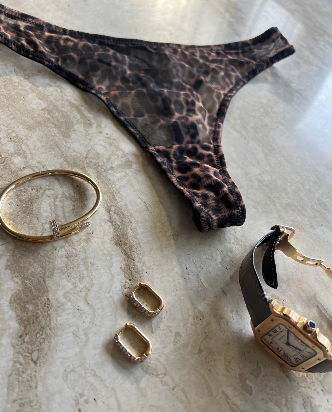The Yves Leopard Mesh Thong in sheer leopard print mesh, styled with The Allegra Gold-Plated Crystal Hoop Earrings and gold accessories on a textured stone surface.